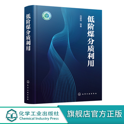 低阶煤分质利用 低阶煤特性分质利用概念与发展现状 低温煤焦油热解气热解半焦分质利用技术原理 煤化工清洁能源 煤炭高效利用书籍