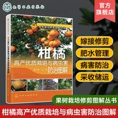柑橘高效栽培技术 淳长品 果树种植 柑橘高产优质栽培与病虫害防治图解 柑橘高产优质栽培与病虫害防治图解 果树栽培修剪图解丛书