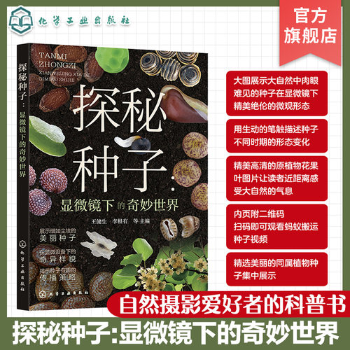 探秘种子 显微镜下的奇妙世界 微观种子 显微镜观察种子 奇特种子 青少年植物科普书籍 种子科普 青少年大自然显微镜观察科普书籍