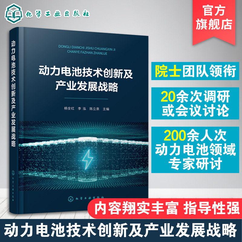 正版 动力电池技术创新及产业发展战略 国内外动力电池现状与发展趋势 锂硫电池 全固态电池 动力电池研究生产科技工作者应用书籍