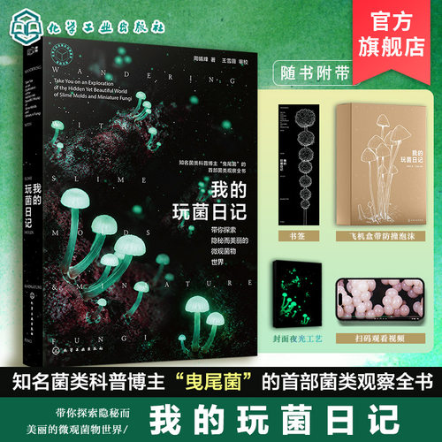 菌类科普达人曳尾菌，带你走近微观菌类，感