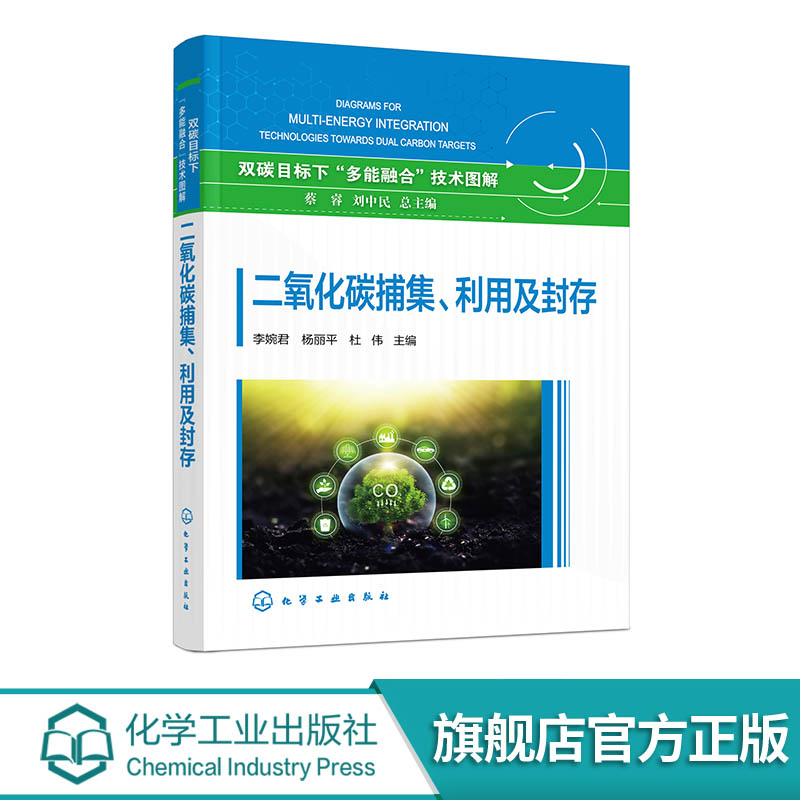 二氧化碳捕集 利用及封存 国内外CCUS领域相关政策 项目与技术现状 CCUS各环节典型技术清单及发展路径 CCUS技术应用场景项目案例