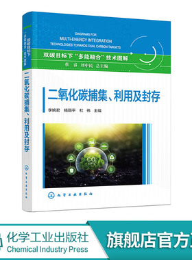 二氧化碳捕集 利用及封存 国内外CCUS领域相关政策 项目与技术现状 CCUS各环节典型技术清单及发展路径 CCUS技术应用场景项目案例
