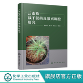 响应 云南松截干促萌及激素调控研究 云南松萌枝能力对截干高度 林木截干促萌技术研究 高校林学农学植物学专业师生参考 蔡年辉