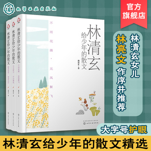 大字版 畅销书作家林清玄散文精选经典 林清玄给少年 作品合集 青少年中小学生中国现当代文学中高考语文真题散文书籍 散文 全3册