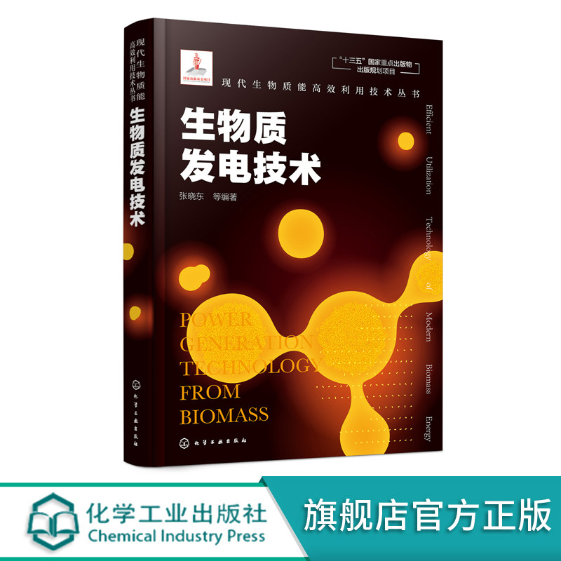 现代生物质能高效利用技术丛书 生物质发电技术 生物质原料生物质气化发电技术生物质氢能发电技术垃圾焚烧发电沼气发电技术书籍