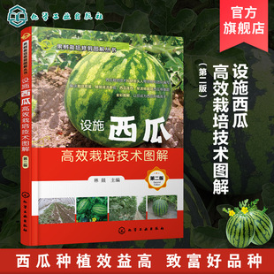果树栽培修剪图解丛书 设施西瓜高效栽培技术图解 第二版 西瓜种植书籍 棚室西瓜 西瓜嫁接育苗连作培育书籍 西瓜高产稳产技术书籍