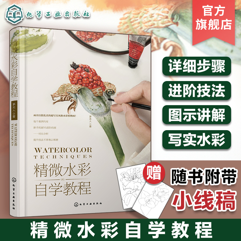 赠线稿 精微水彩自学教程 水彩画精微水彩起稿上色步骤详解 水彩画技法进阶教程 茅夫人水彩绘画干货教程 零基础初学者水彩画入门