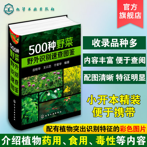 野菜识别特征实用方法