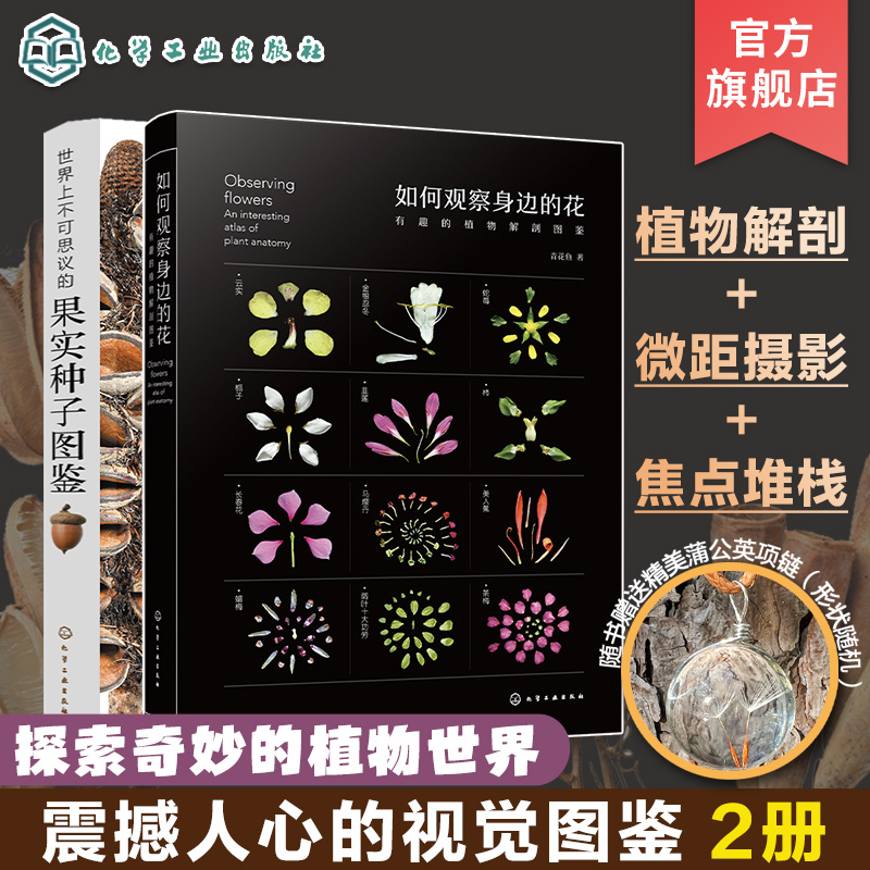 2册 如何观察身边的花 有趣的植物解剖图鉴 世界上不可思议的果实种子图鉴 一本新颖的果实种子视觉图鉴 自然探索科普课外阅读书籍