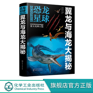 儿童恐龙大百科全书课外书 侏罗纪大百科 翼龙与海龙大揭秘 幼儿少儿童小学生知识科普书 恐龙写实手绘图书 翼龙海龙大全 恐龙星球