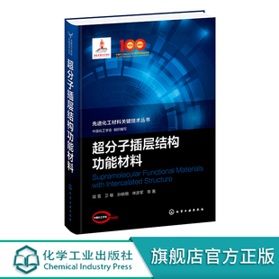 化工材料领域科技术人员阅读 超分子插层结构功能材料 功能材料超分子插层结构 超分子插层材料结构设计 高校化工材料专业师生参考