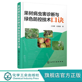 果树病害症状诊治防控 蔬菜病虫害防治技术经验防控药用技术 基层农技推广人员参考书籍 果树病虫害诊断与绿色防控技术口诀 正版