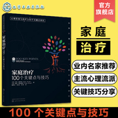 家庭治疗 100个关键点与技巧 心理问题诊断治疗技术情绪疏导心理咨询 心理咨询与治疗100个关键点译丛 心理咨询与治疗经典 案例书籍