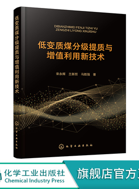 低变质煤分级提质与增值利用新技术 宋永辉 陕北低变质煤 煤化工专业领域科研工作者和工程技术人员参考 高校煤化工专业教学用书