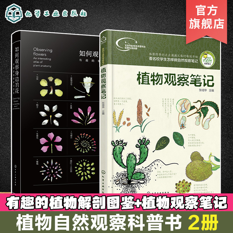 2册 如何观察身边的花 有趣的植物解剖图鉴 我的大自然观察笔记 植物观察笔记 植物科普绘本 6-12岁小学课外自然科普阅读百科全书