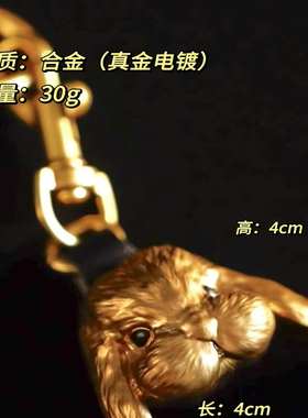 第470只设计｜挂件｜垂耳兔Bandy