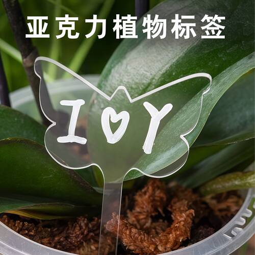 植物标签插牌多肉园艺标识