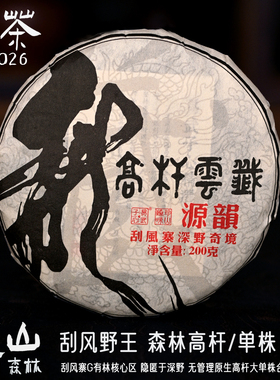 刮风寨普洱茶生茶2026年头春易武高杆古树茶 刮风寨森林原野茶王