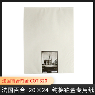 320 百合BERGGER 100%纯棉铂金纸 COT 艺术家纯棉 古典工艺摄影纸