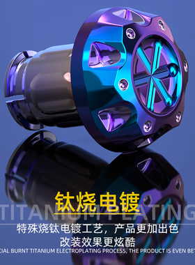 摩托车手把堵头佛沙300 FORZA250 NSS350龙头防摔堵油门手把握把