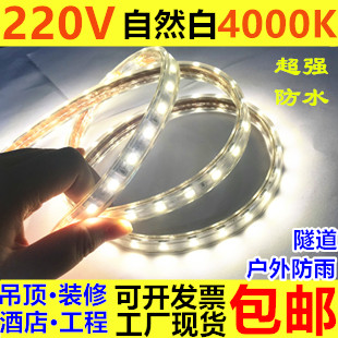220v中性光隧道led灯带