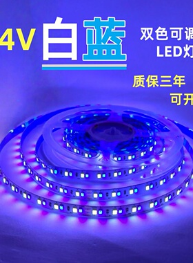 彩光双色24V2835裸板套管防水白蓝白光+蓝光双色LED灯带白色+蓝色