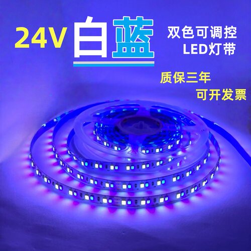 凌科云24V白蓝双色LED软灯带