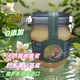 俄罗斯原瓶进口密风港牌椴树蒲公英杂花蜂蜜纯正天然野生零食香甜