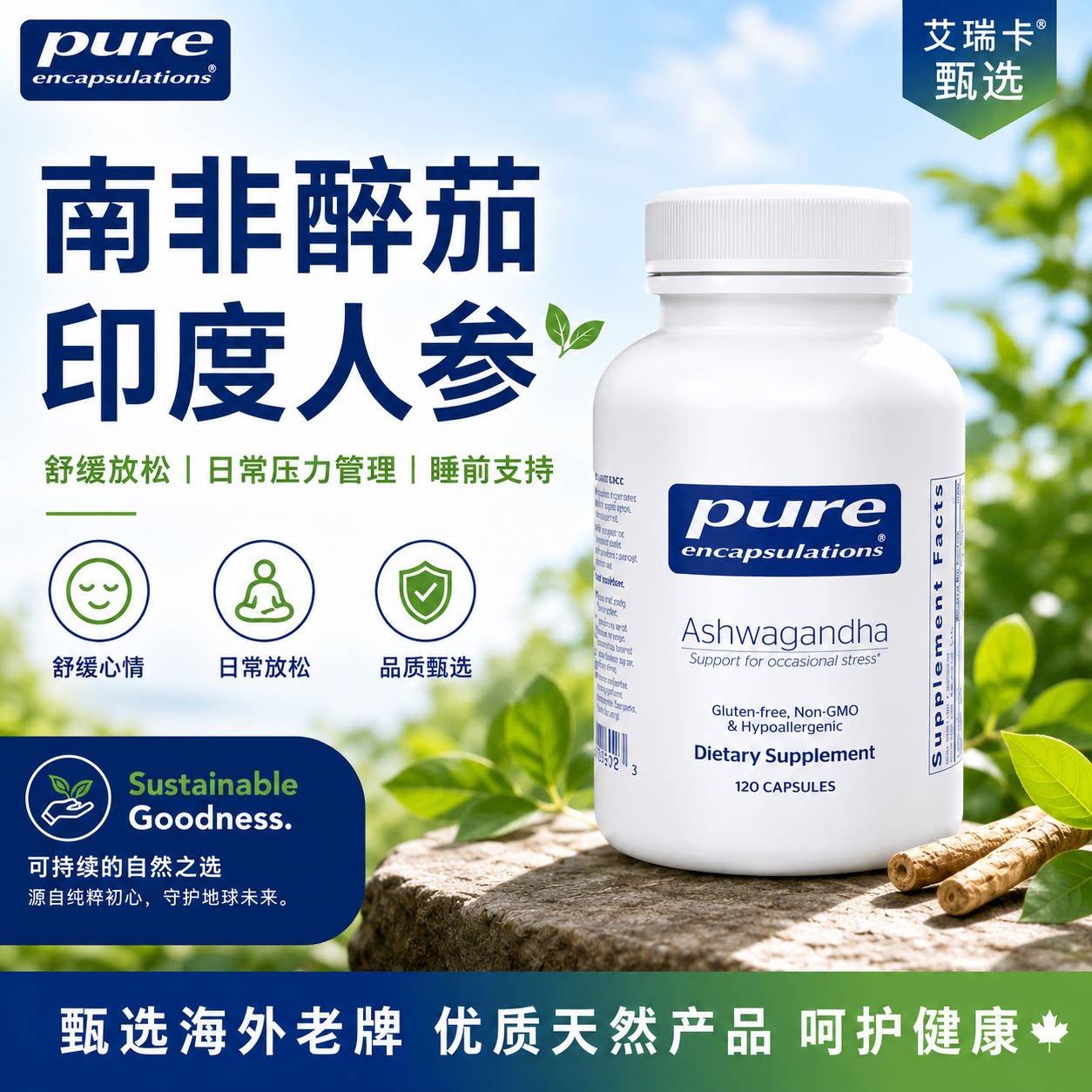 直邮 Pure 南非醉茄印度人参睡眠压力适应源天然草本120粒