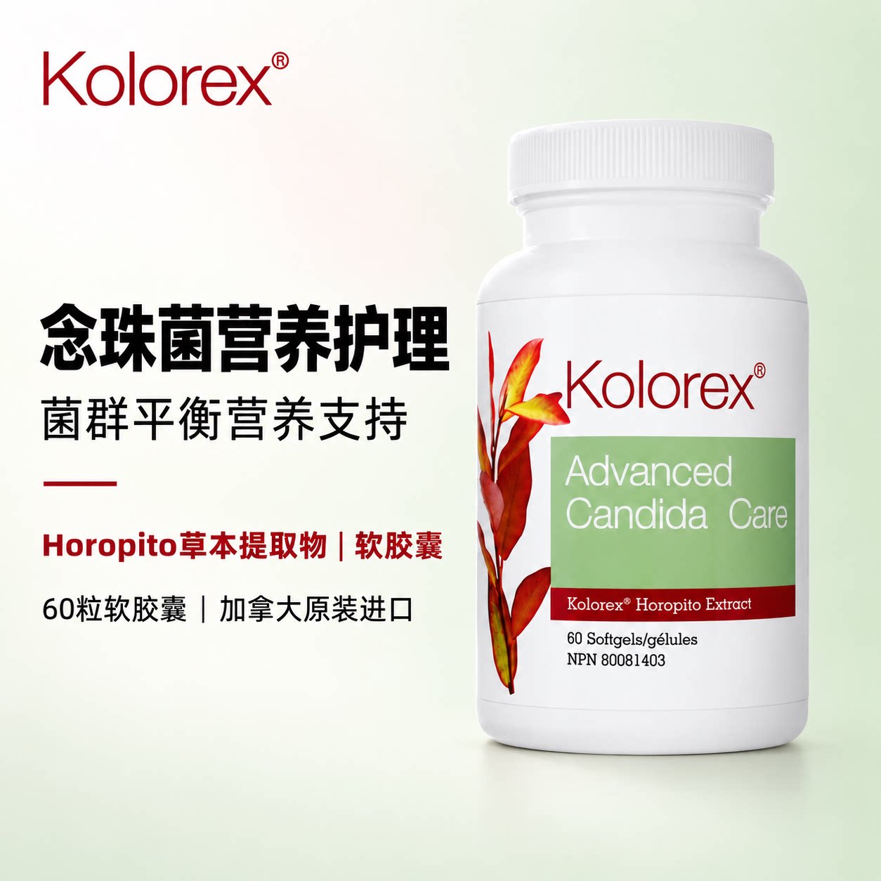 kolorex念珠菌霉菌妇科健康图片