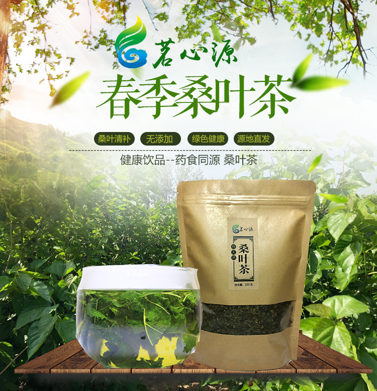 2026 桑叶茶春茶正品绿茶桑叶天然养生茶袋装500g山东质检放心