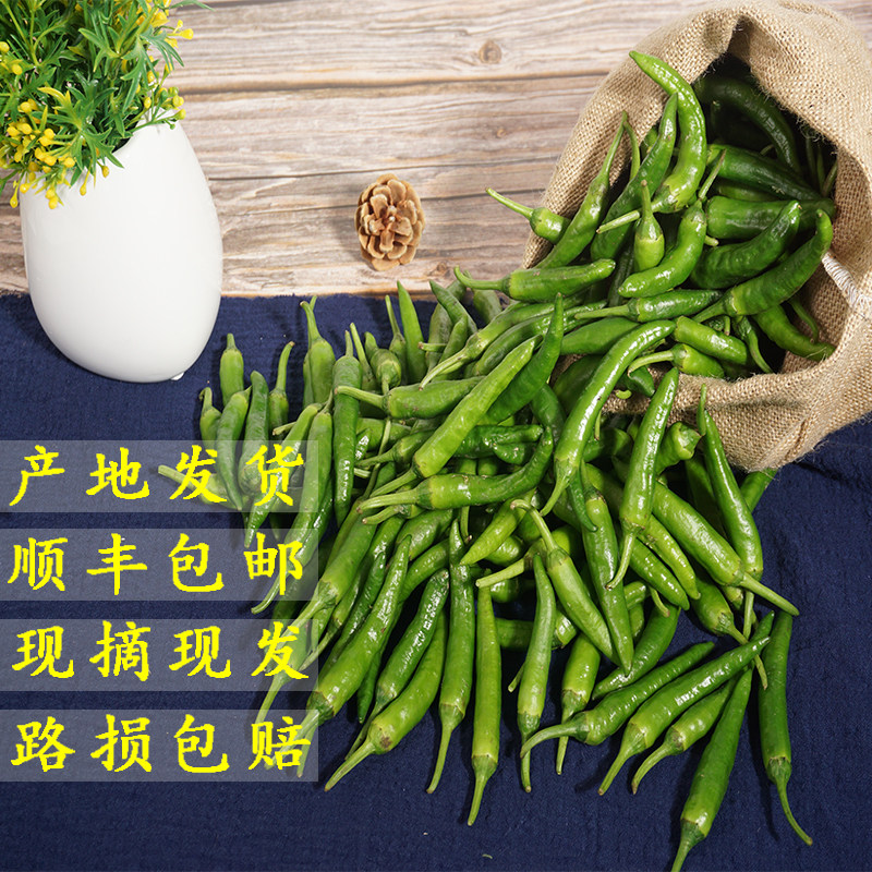 正宗樟树港原种辣椒礼盒装湖南湘阴特产新鲜蔬菜农户现摘现发顺丰_虎窝淘