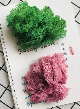 永生干花苔藓钥匙扣玻璃罩辅材diy材料包花球车挂微景观材料20克