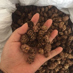 饰干树枝鱼鳞松塔 30个松果干花包手工diy材料包创意家居装 包邮