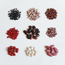 【标本豆类】天然植物diy材料相思红豆 油麻藤红刀豆花芸豆