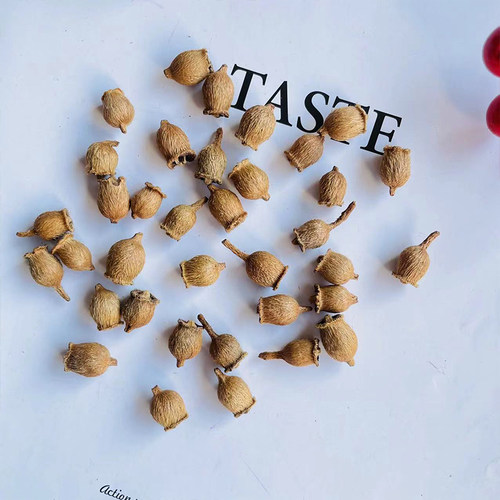 小山捻迷你果子手工野外装饰干果山捻拍照道具森女手工材料小果子