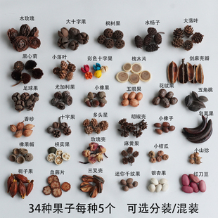天然果实橡果松果豆荚娃娃装饰手工diy材料包幼儿园环创拍摄道具