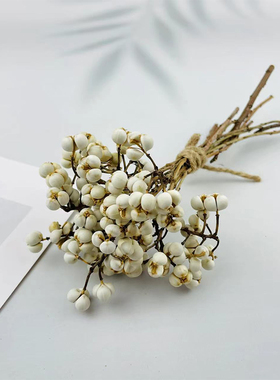 天然小白果乌桕果干花diy手作花环搭配花材白色薏米果小清新装饰