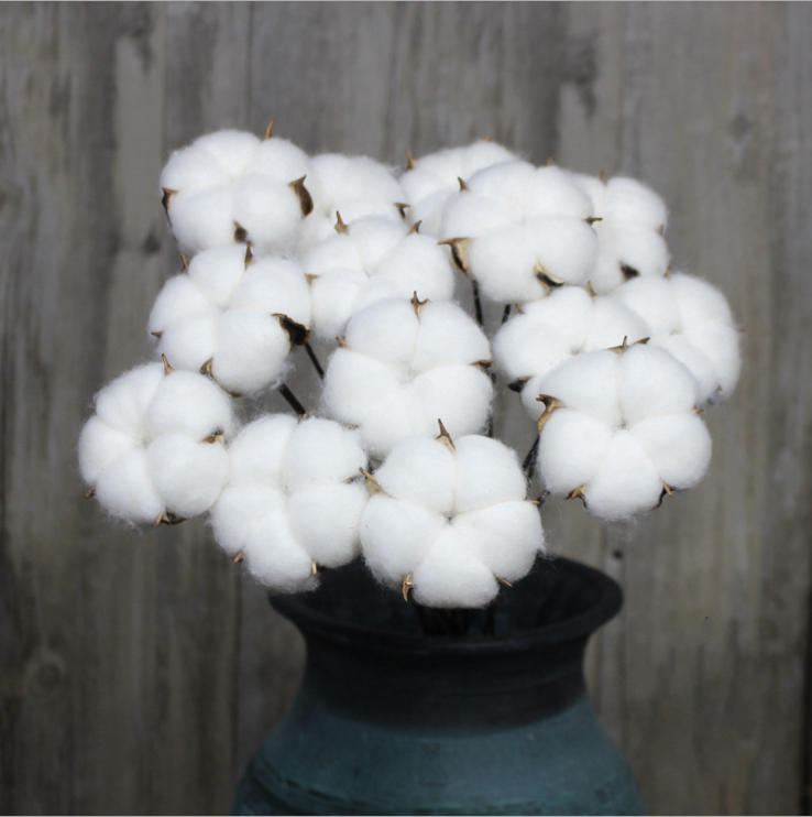 【棉花单支】乡村田园永生木棉花花束室内装饰婚庆干花拍摄道具