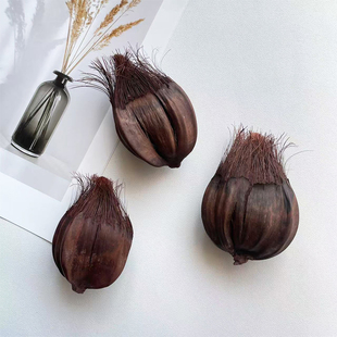 【水椰子】马尾果干花植物棕榈科干花标本家居客厅样板房装饰插花