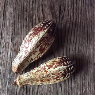 复古森林干花包 天然松果树叶树枝 拍照道具田园拍摄道具大杨桃核