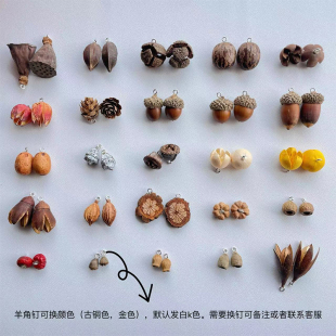 天然植物耳环果实带钉橡果干果diy手工果子创意个性耳饰手链植物