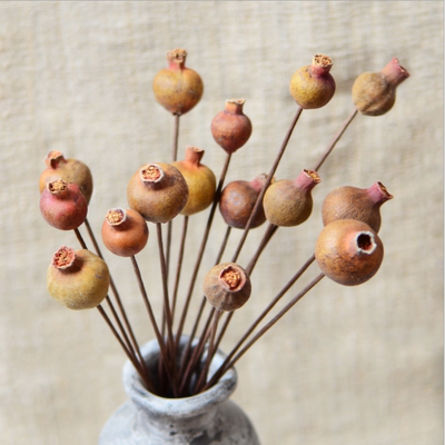 包邮果实禅意莲蓬组合干枝插花