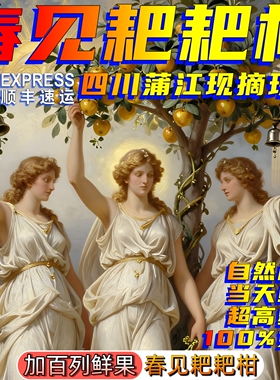 耙耙柑正宗四川耙耙柑现摘发货四川春见耙耙柑礼盒当季耙耙柑水果