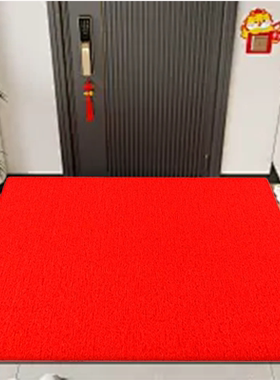 红色特厚可裁剪进门地垫蹭灰出入玄关入户门垫商用店铺大尺寸迎宾