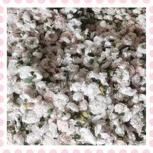 大马士革白玫瑰鲜花花期4月下旬5月上旬 做纯露花材 腌制现货