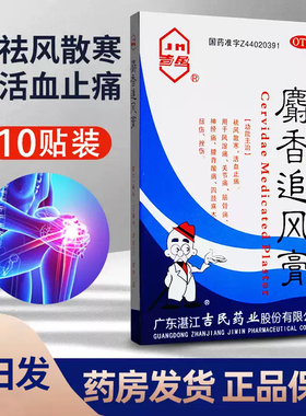 吉民麝香追风膏10贴活血止痛风湿关节痛贴膏扭伤神经痛射香止疼膏