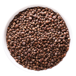 中药材急性子500克新货无硫熏凤仙花子 指甲花 籽 指甲花籽