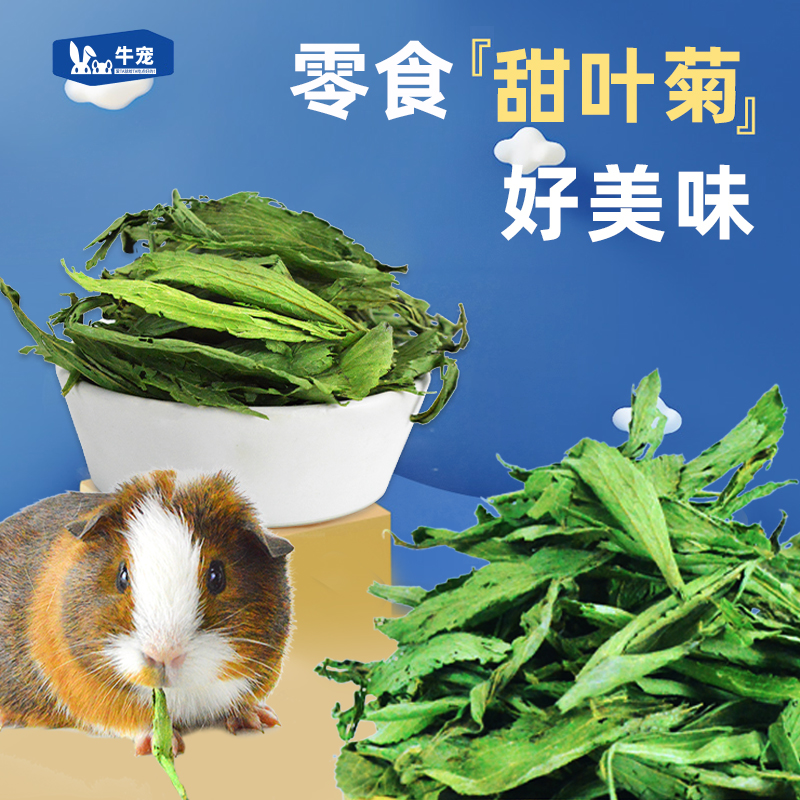 牛宠甜叶菊兔子荷兰猪豚鼠零食